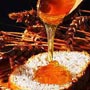The golden elixir Honey